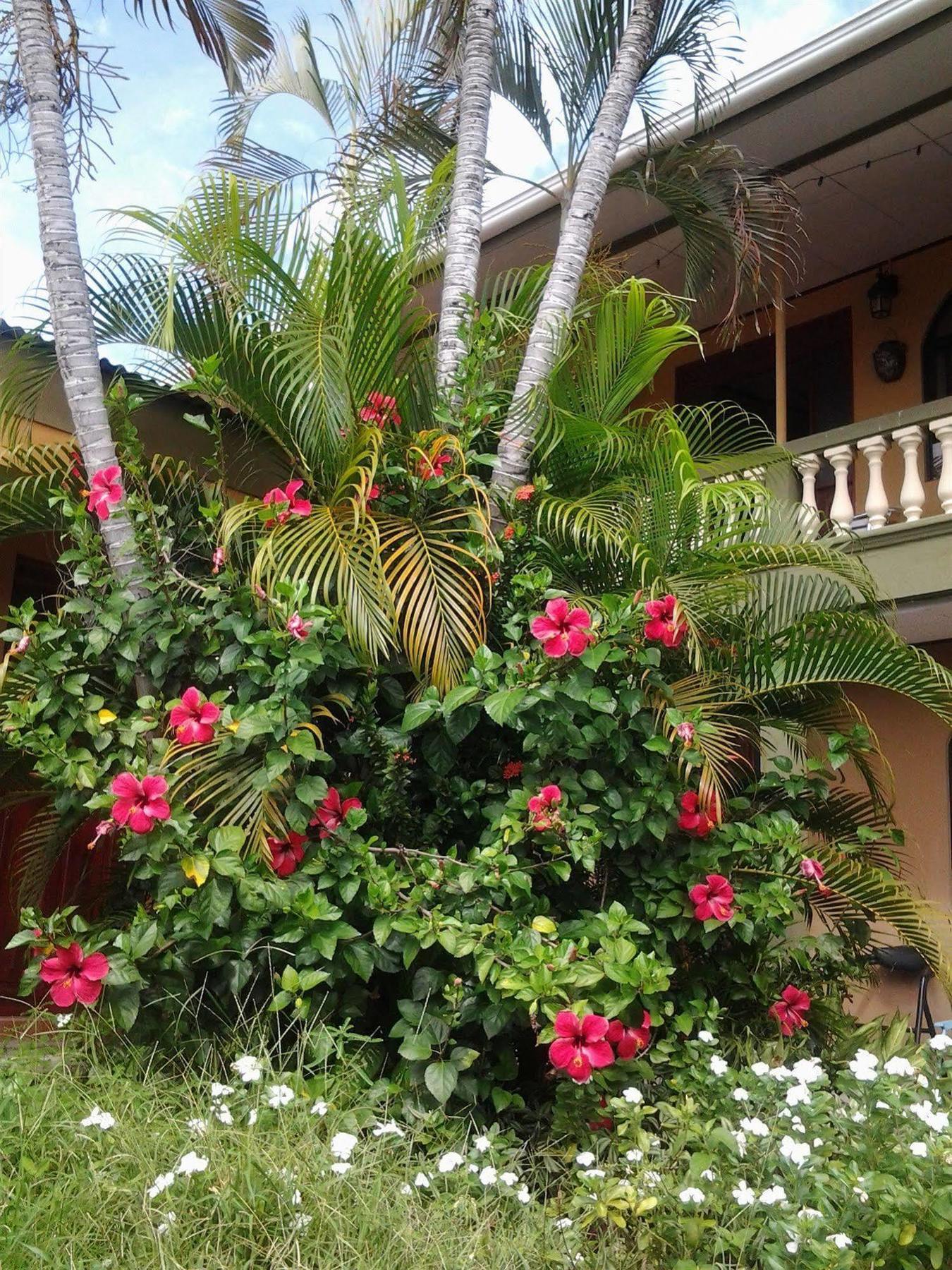 Cabinas Madeleine Puntarenas Extérieur photo